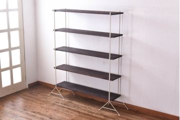 ラフジュ工房オリジナル　ホワイト　ペイント薄型アイアンラック【小】(陳列棚、飾り棚)